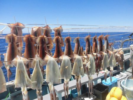 大進丸(愛知) 釣果