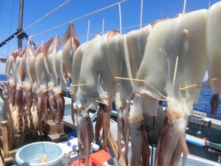 大進丸(愛知) 釣果