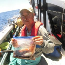 大進丸(愛知) 釣果