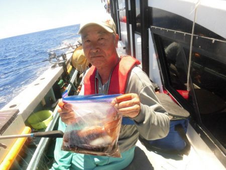 大進丸(愛知) 釣果