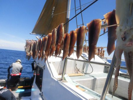 大進丸(愛知) 釣果