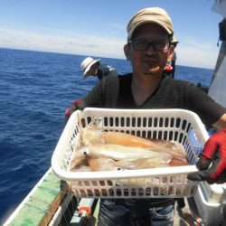 大進丸(愛知) 釣果
