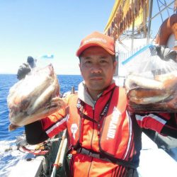 大進丸(愛知) 釣果