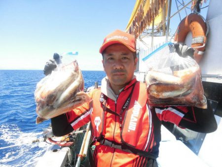 大進丸(愛知) 釣果