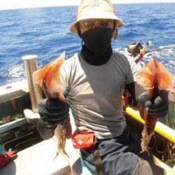 大進丸(愛知) 釣果