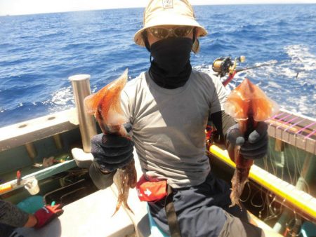大進丸(愛知) 釣果