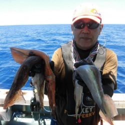 大進丸(愛知) 釣果