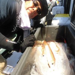 大進丸(愛知) 釣果