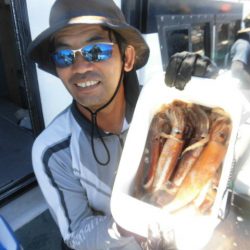 大進丸(愛知) 釣果