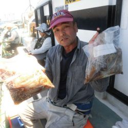 大進丸(愛知) 釣果