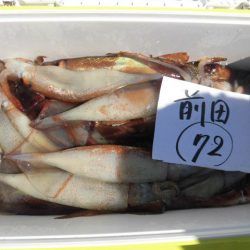 大進丸(愛知) 釣果