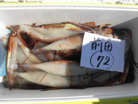 大進丸(愛知) 釣果