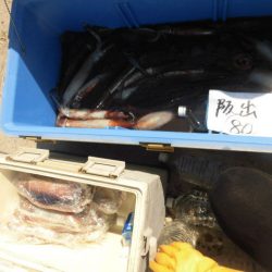 大進丸（愛知） 釣果