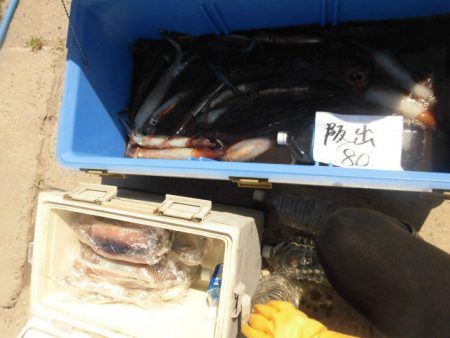 大進丸（愛知） 釣果