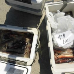 大進丸（愛知） 釣果