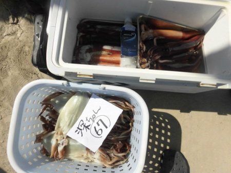 大進丸（愛知） 釣果