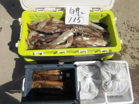 大進丸（愛知） 釣果