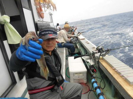 大進丸（愛知） 釣果