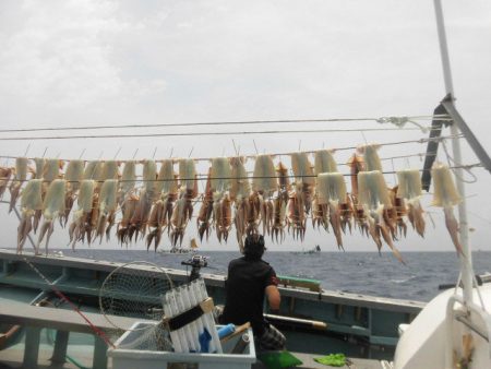 大進丸（愛知） 釣果