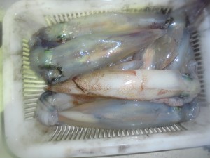兼六丸 釣果