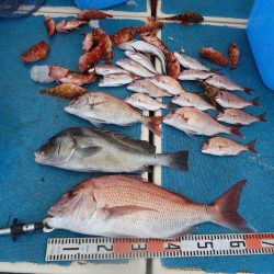 十八宝洋丸 釣果