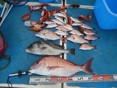 十八宝洋丸 釣果