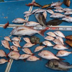 十八宝洋丸 釣果