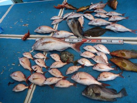 十八宝洋丸 釣果