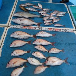 十八宝洋丸 釣果