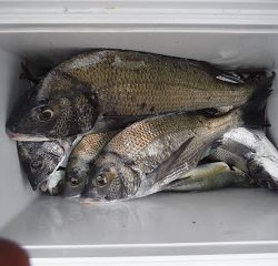 バラモン1号 釣果