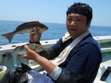 大進丸（愛知） 釣果
