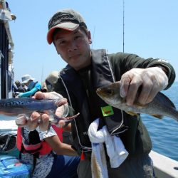 大進丸（愛知） 釣果