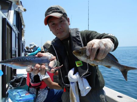 大進丸（愛知） 釣果