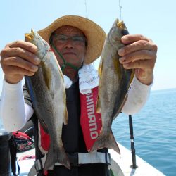 大進丸（愛知） 釣果