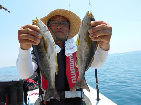 大進丸（愛知） 釣果