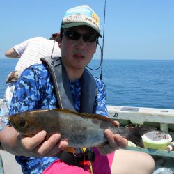 大進丸（愛知） 釣果