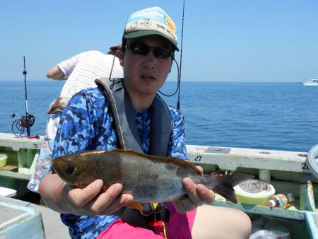 大進丸（愛知） 釣果