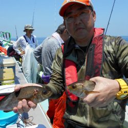 大進丸（愛知） 釣果