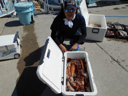 大進丸（愛知） 釣果