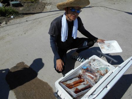 大進丸（愛知） 釣果