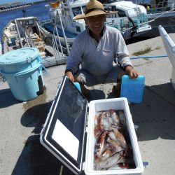 大進丸（愛知） 釣果
