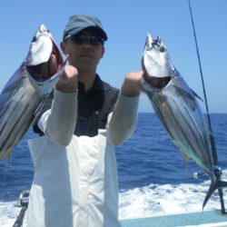 大進丸（愛知） 釣果