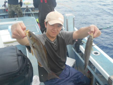 大進丸（愛知） 釣果