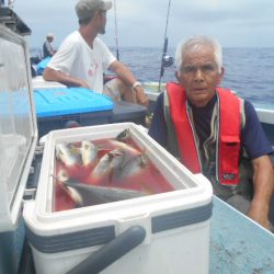 大進丸（愛知） 釣果