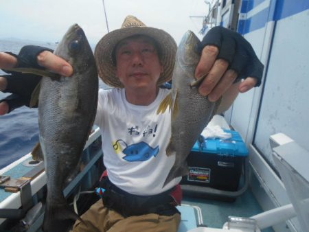 大進丸（愛知） 釣果