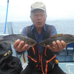 大進丸（愛知） 釣果