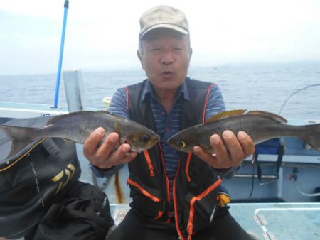 大進丸（愛知） 釣果