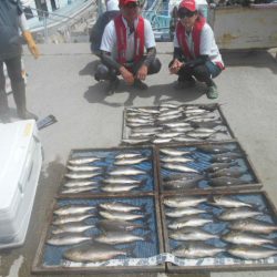 大進丸（愛知） 釣果