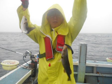 大進丸(愛知) 釣果