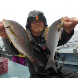 大進丸(愛知) 釣果